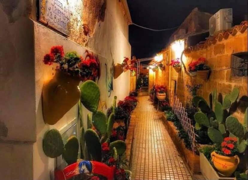 Nido Colorato B&B 冯塔尼比安奇 外观 照片